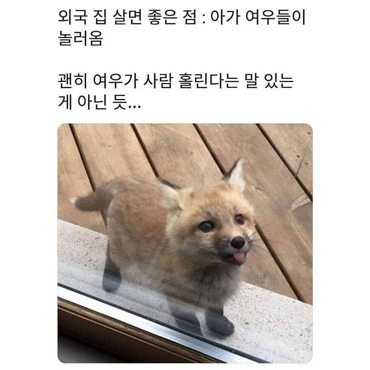 외국 집에 살면 좋은 점.jpg | 인스티즈