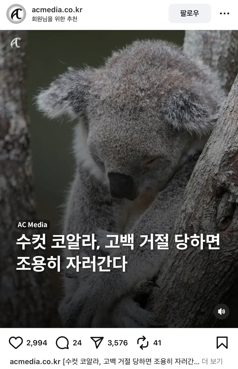 수컷 코알라가 암컷에게 차이면 하는 행동 | 인스티즈