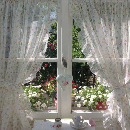 지극히 평화롭고 사랑스러운 | 인스티즈