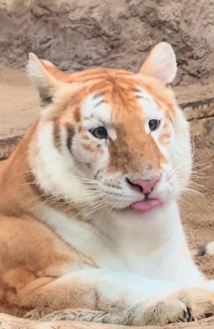 스모키 메컵이 인상에 미치는 영향 | 인스티즈