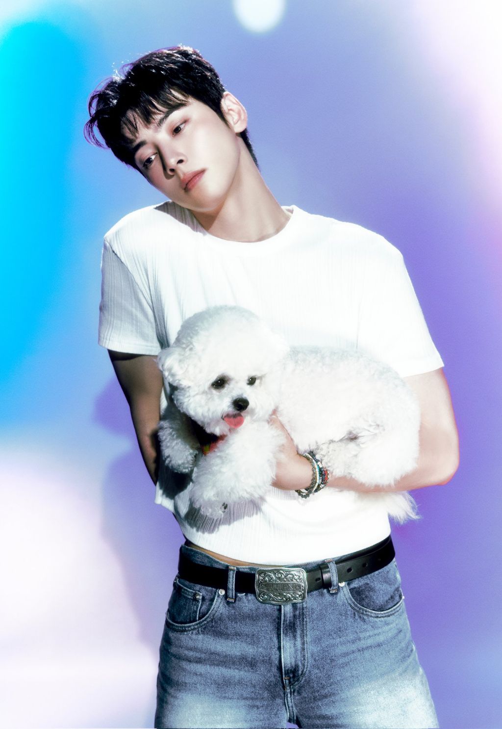 차은우 본인 강쥐 동동이랑 컨포찍음.jpg | 인스티즈