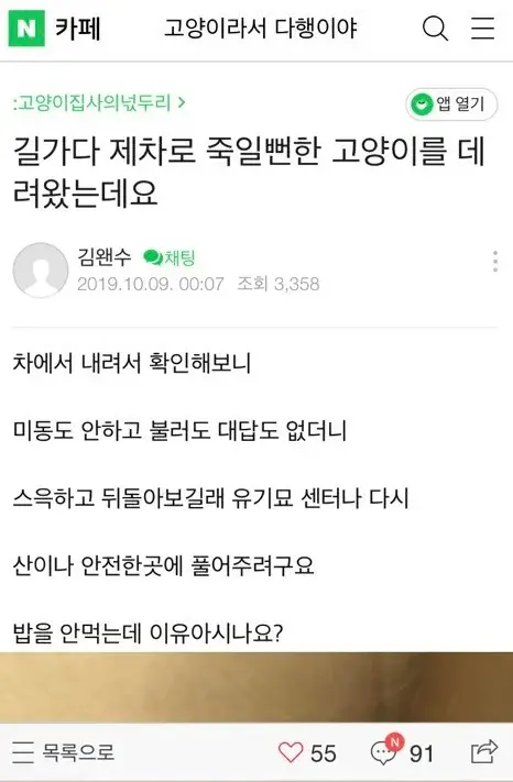 고양이가 밥을 안먹어요; | 인스티즈