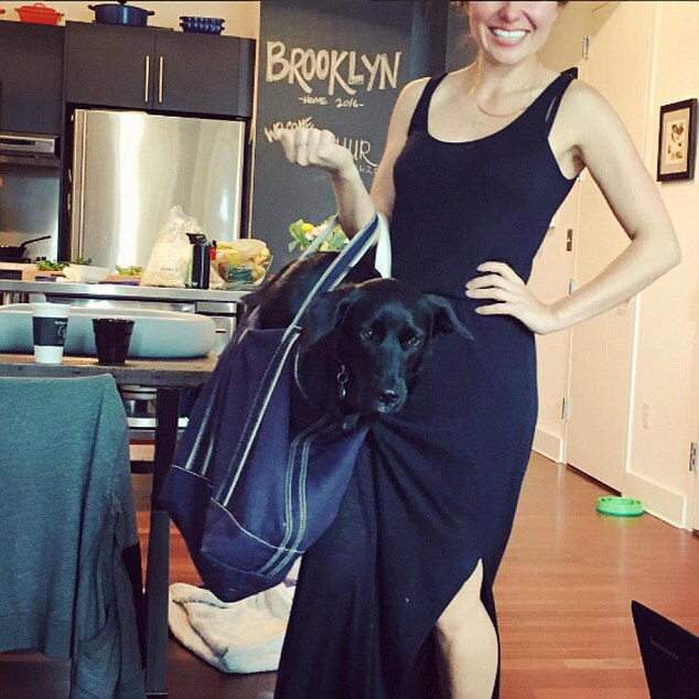 뉴욕에 사는 댕댕이들이 지하철 타는 법 | 인스티즈