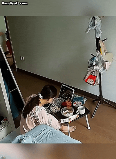 고양이 키우고 싶어지는 움짤쓰.gif | 인스티즈