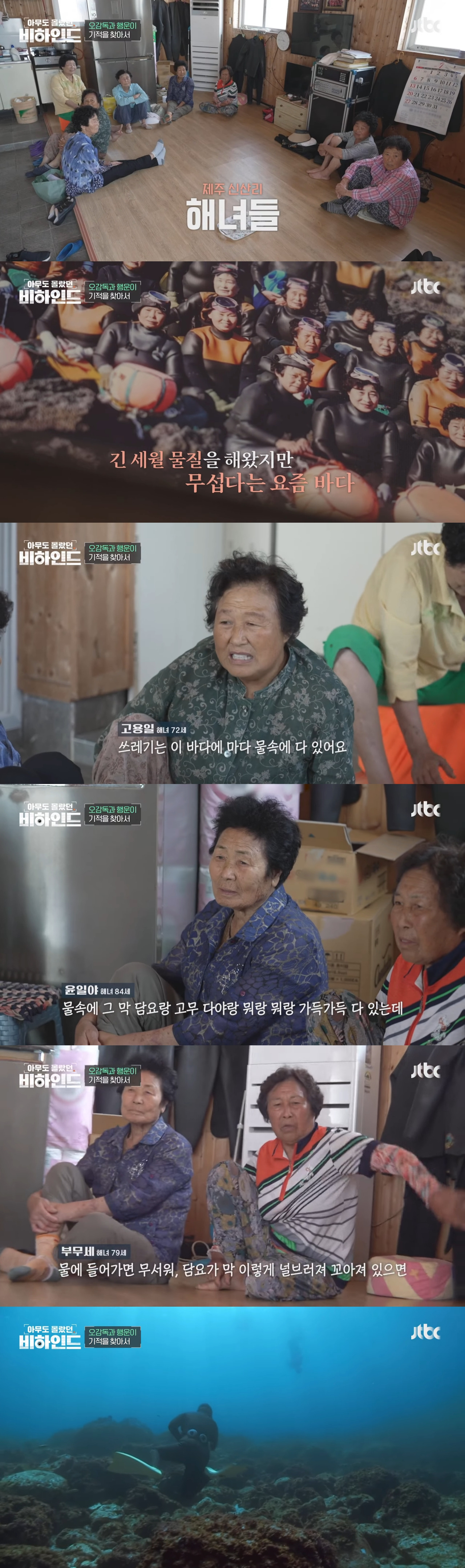 인간이 버린 쓰레기에 걸려 고통 받는 돌고래들을 따라다니는 돌고래 아빠 | 인스티즈