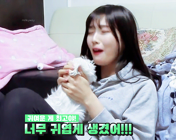 내 취향 여돌 팬아저 모음 13 | 인스티즈