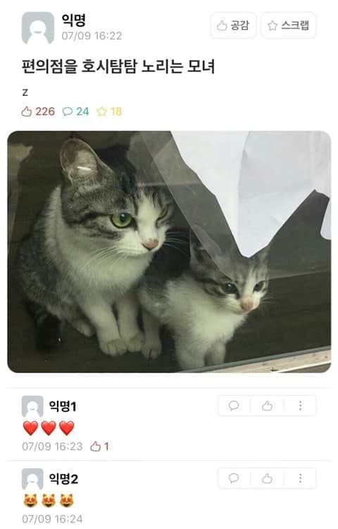 편의점을 호시탐탐 노리고 있는 모녀 | 인스티즈