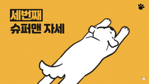 강아지 수면 자세 이유 | 인스티즈