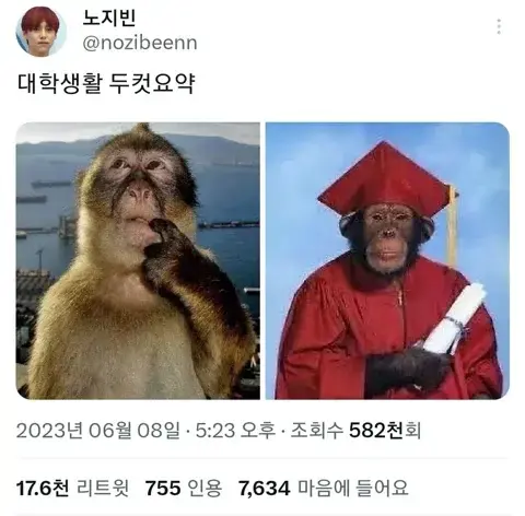 대학생활 두컷요약 | 인스티즈