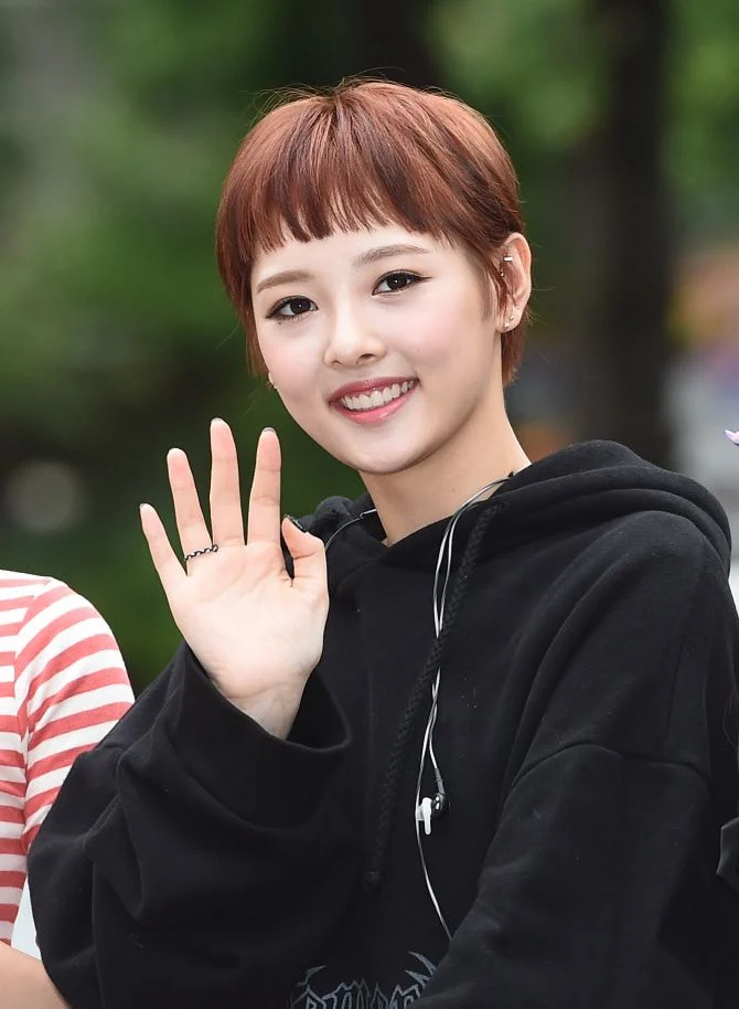 걸그룹 멤버 숏컷 모음.jpg | 인스티즈