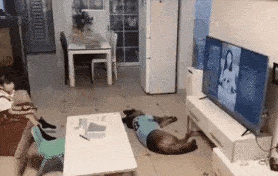 위험을 감지하는 동물의 직감.gif | 인스티즈