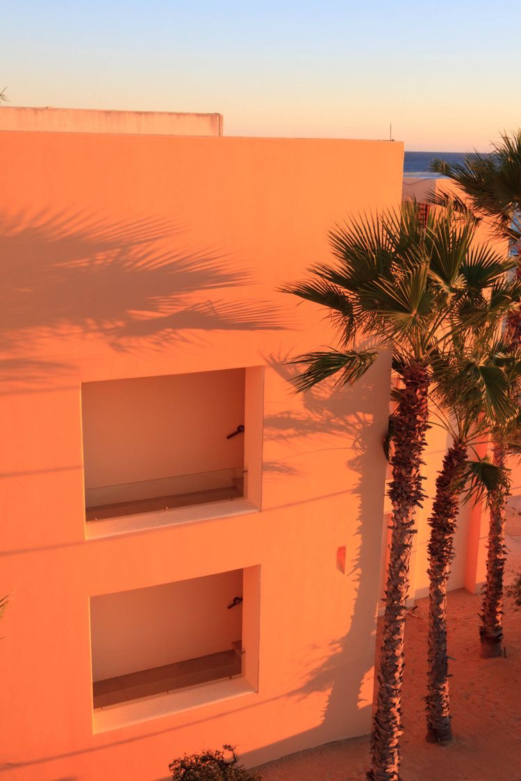 우리는 오렌지 태양 아래 그림자 없이 함께 춤을 춰 | 인스티즈