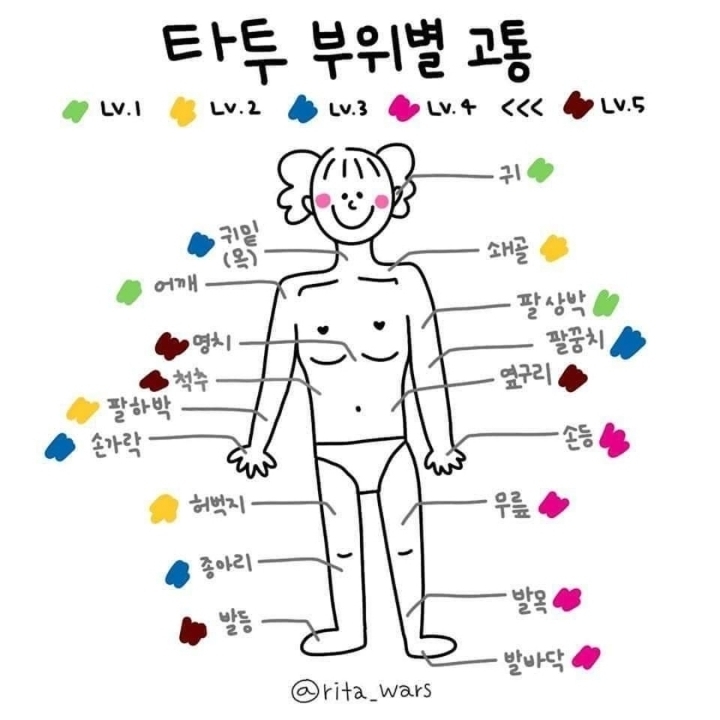 타투 부위별 고통.jpg - 악플달면 쩌리쩌려버려 - ＊여성시대＊ 차분한 20대들의 알흠다운 공간 타투 부위별 고통.jpg