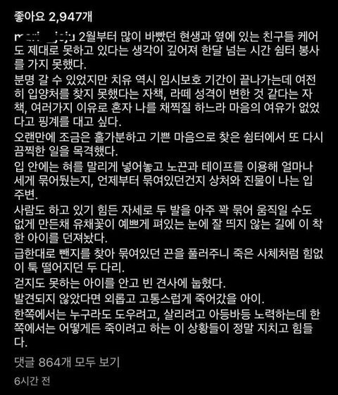 유채밭에 버려진 강아지 | 인스티즈