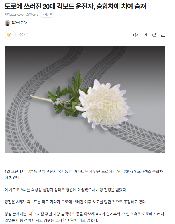 도로에 쓰러진 20대 킥보드 운전자, 승합차에 치여 숨져 | 인스티즈