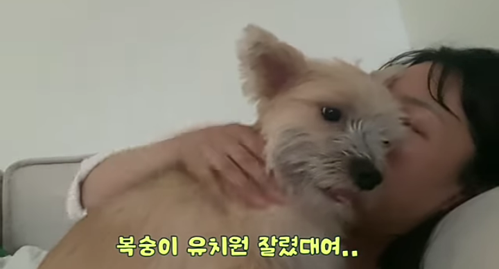 유치원에서 짤린 INFP 강아지... | 인스티즈