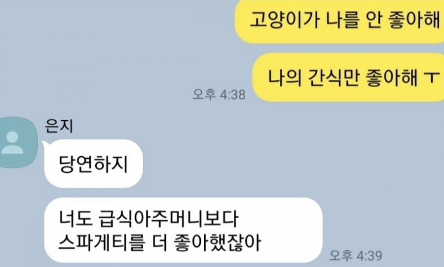 고양이가 나를 안 좋아해 | 인스티즈