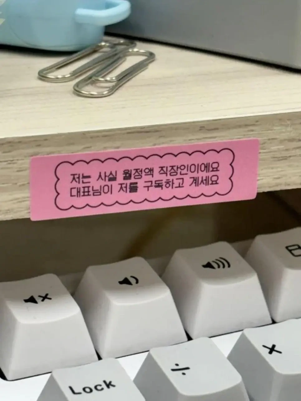 최신 구독서비스 근황.jpg | 인스티즈
