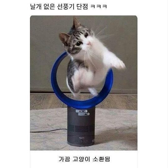 강아지 입양했어요 이름은 바둑이 입니다 | 인스티즈