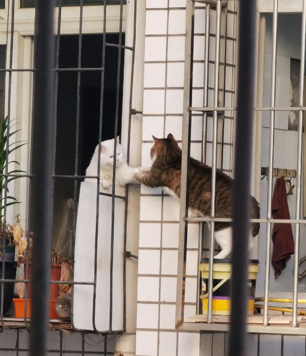 옆집과의 만남 | 인스티즈