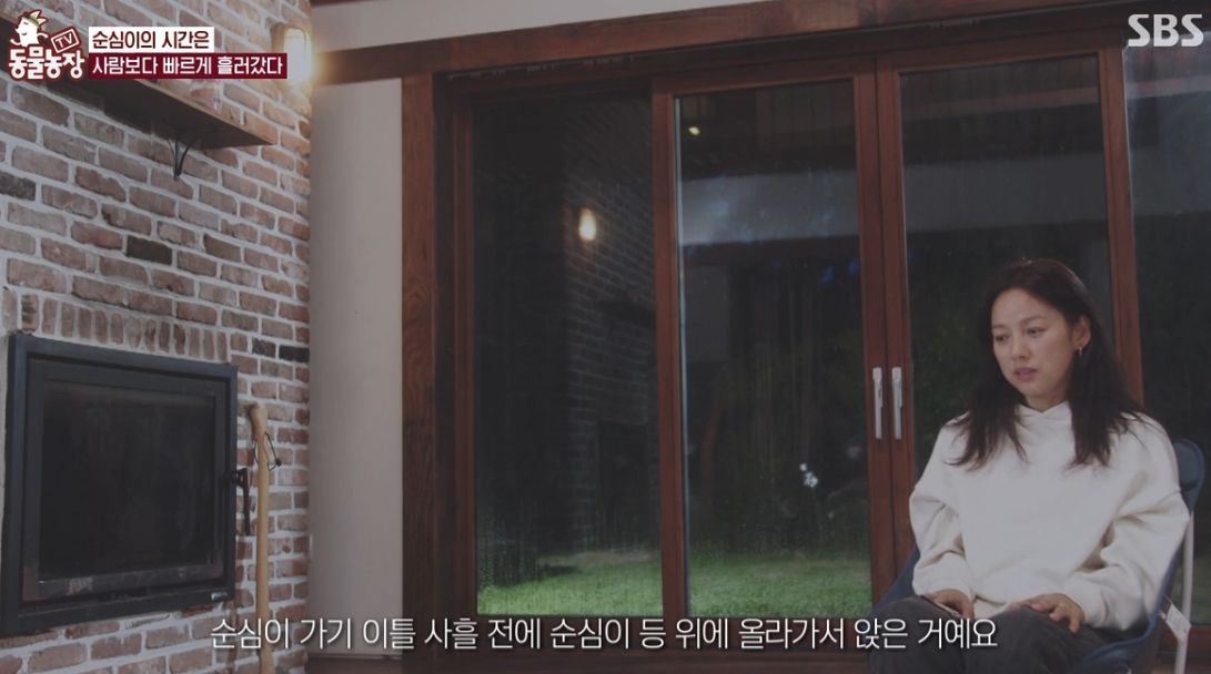 이효리 반려견 순심이가 죽기 전 다른 동물들이 보인 반응 | 인스티즈