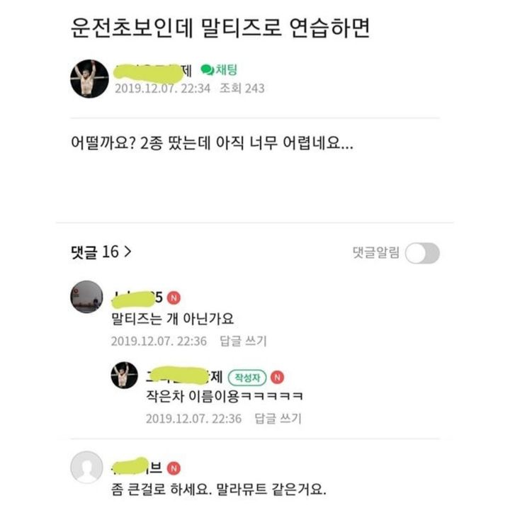 운전초보인데 말티즈로 연습하면 되나요? | 인스티즈