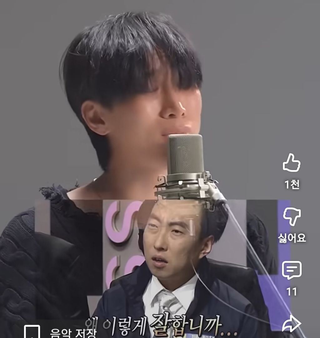 저작권 절대 지키겠다는 아이돌의 돌고래 고음.jpg | 인스티즈