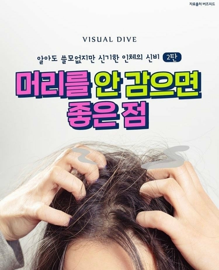 머리를 안 감으면 좋은점 jpg | 인스티즈