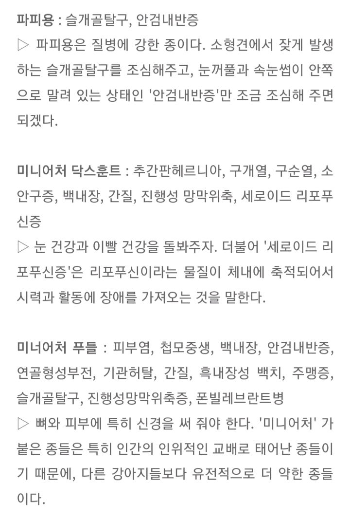 품종묘 보다 품종견에 관대한 사람들.jpg | 인스티즈