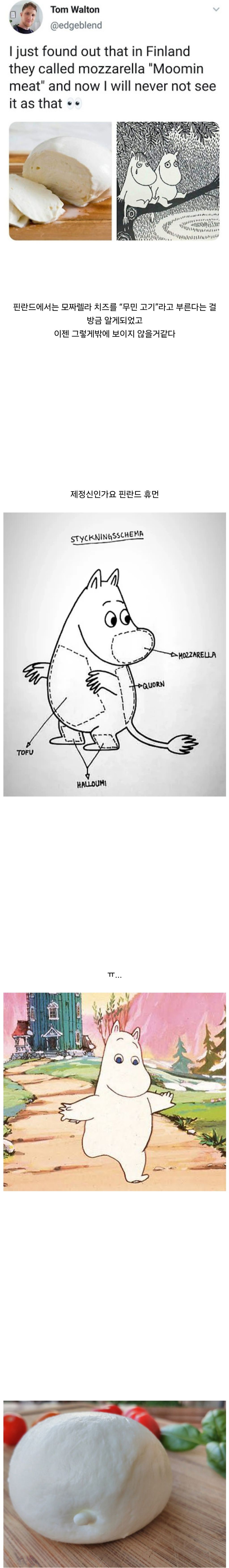핀란드에서는 모짜렐라 치즈를 OO고기라고 부른다는 것을 알게 되었다 | 인스티즈