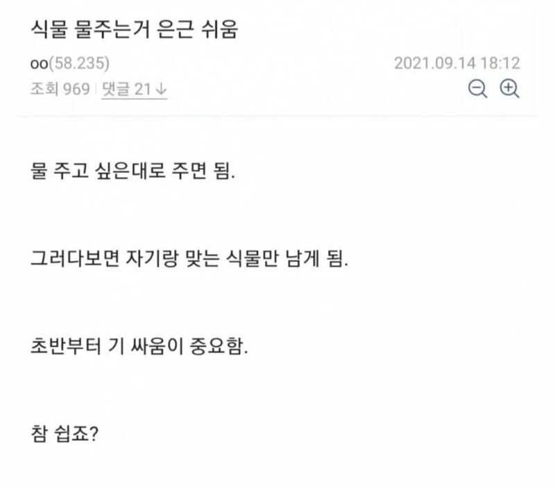 식물 물 주는거 은근히 쉬움 | 인스티즈