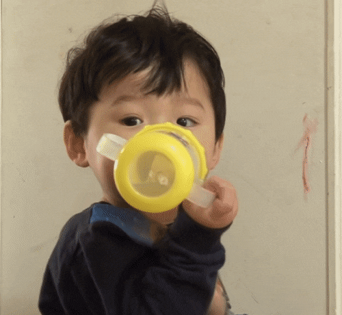 한국인이 미치게 사랑했던 랜선 조카들 모아보기 | 인스티즈
