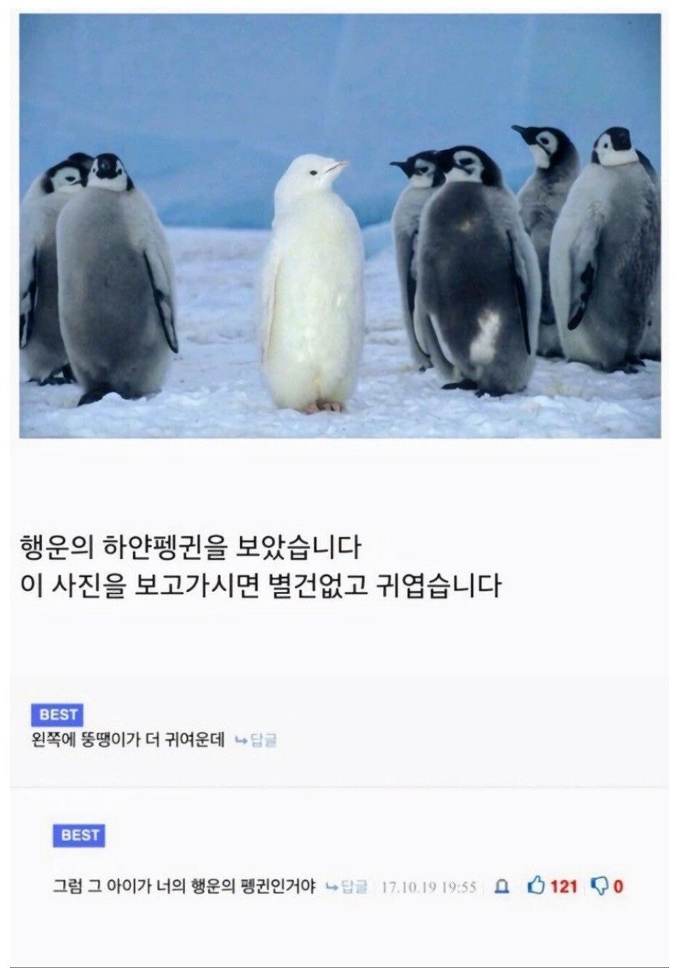 나이 먹어갈수록 재능의 영역이라 느껴지는 것 | 인스티즈