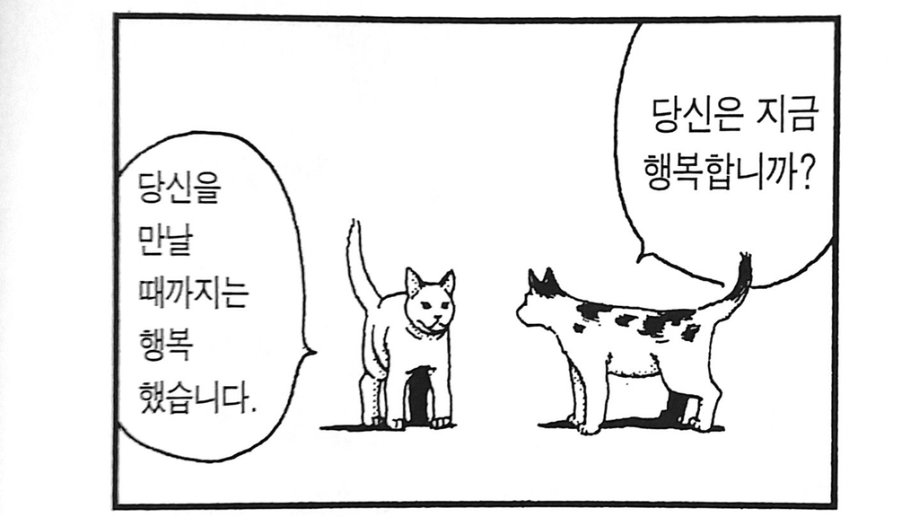 고양이 어깨 | 인스티즈