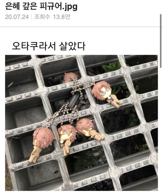 은혜 갚은 피규어.jpg | 인스티즈