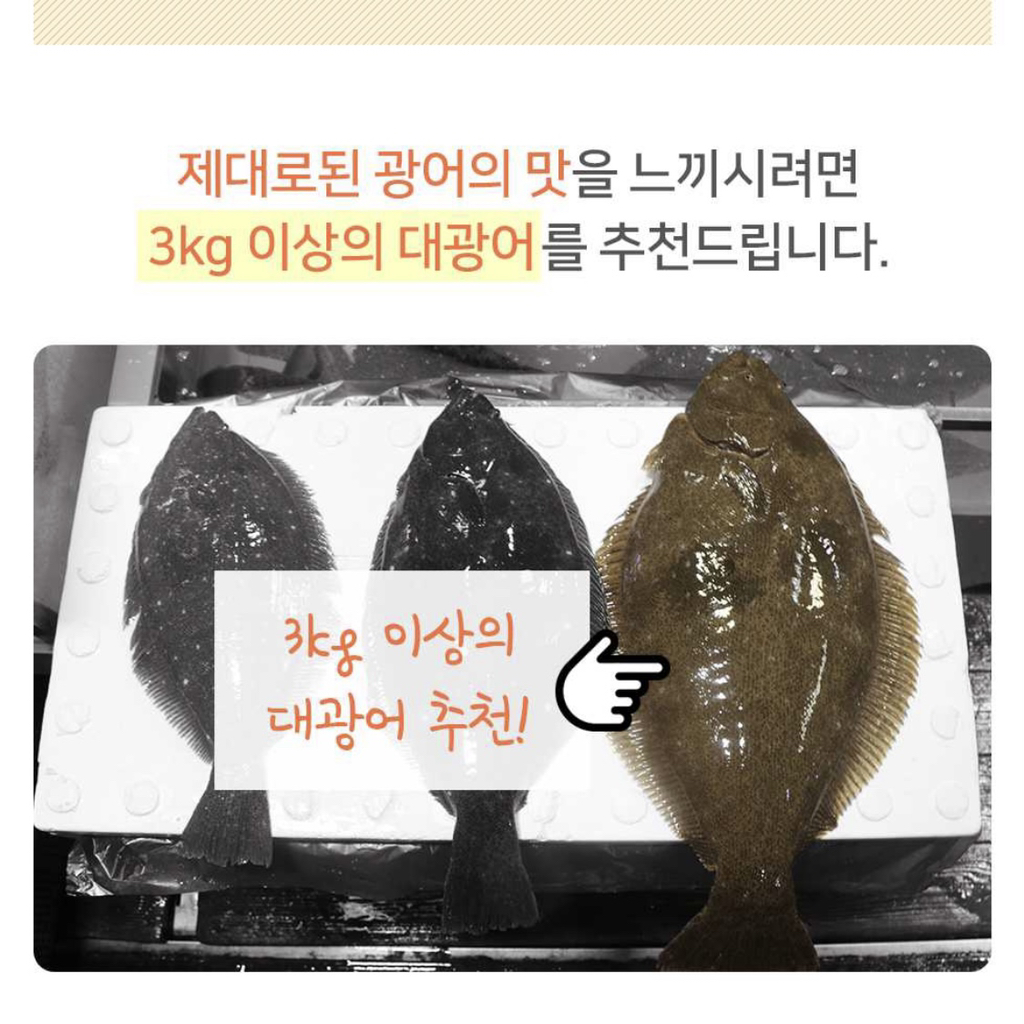 쩝쩝박사라면 알아야 할 회 먹을 때 꿀팁 | 인스티즈