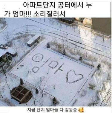 아파트 단지 엄마들 감동중.jpg | 인스티즈