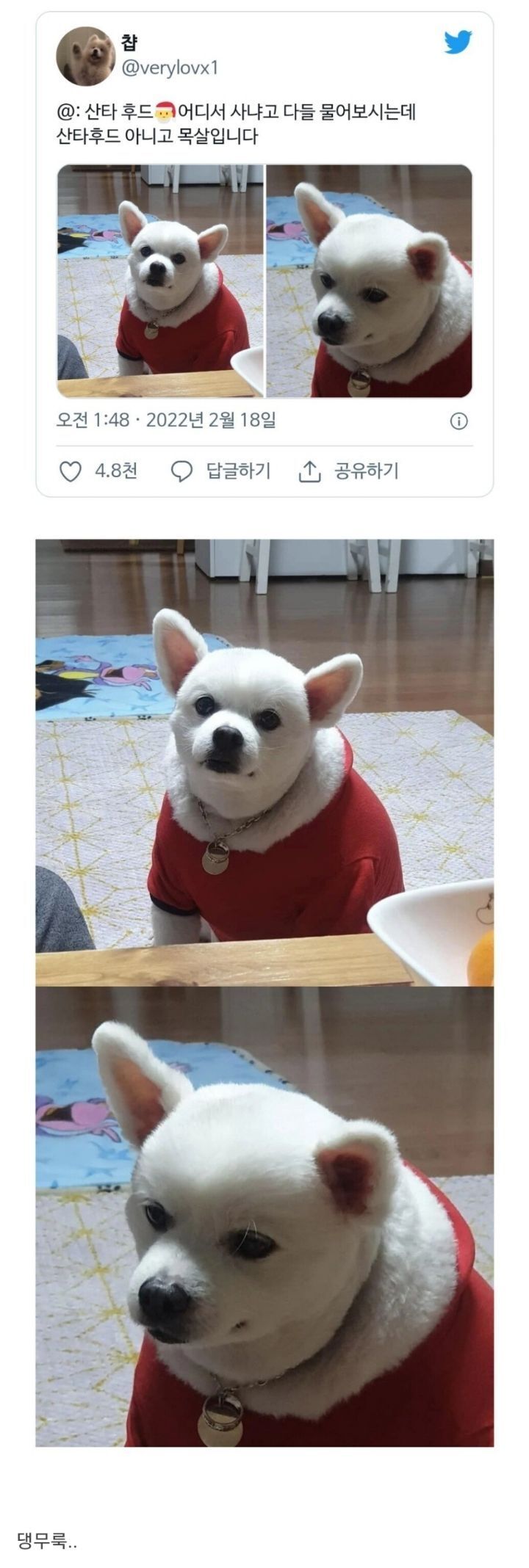 강아지 산타 후드 예쁜데 어디서 사셨나요ㅠㅠㅠ.jpg | 인스티즈