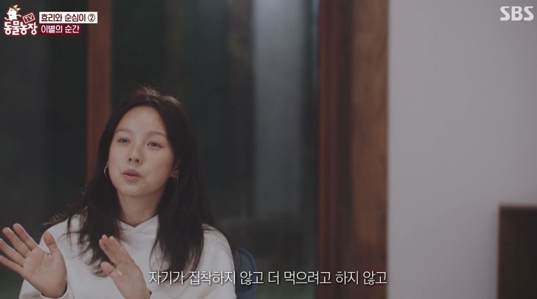이효리 반려견 순심이가 죽기 전 다른 동물들이 보인 반응 | 인스티즈