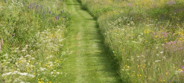 지극히 평화롭고 사랑스러운 | 인스티즈