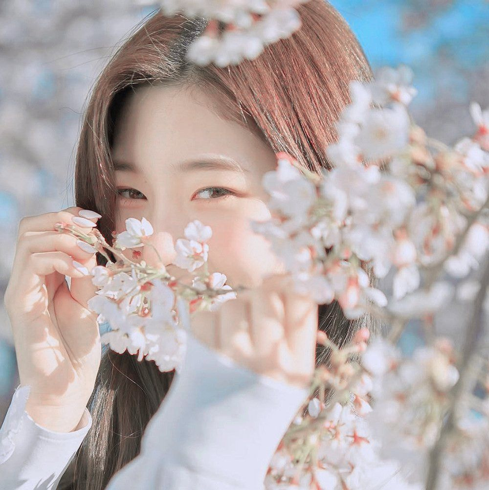 봄마다 꺼내보는 인간 벚꽃 정채연 | 인스티즈