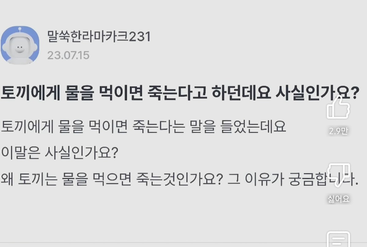 토끼가 물마시면 죽어요?? | 인스티즈