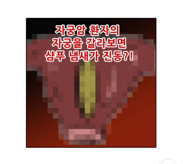 두피에서 자궁까지 12초 | 인스티즈