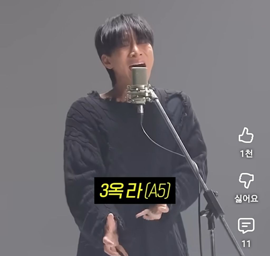 저작권 절대 지키겠다는 아이돌의 돌고래 고음.jpg | 인스티즈