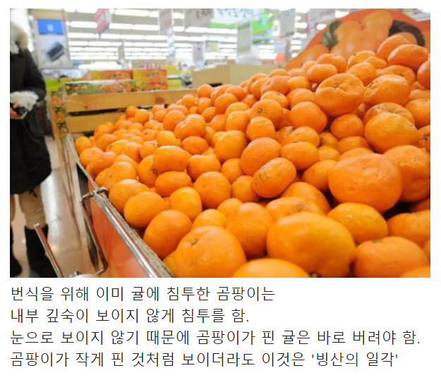 건강에 치명적인데 많은 사람이 별 생각없이 하는 행동.jpg | 인스티즈