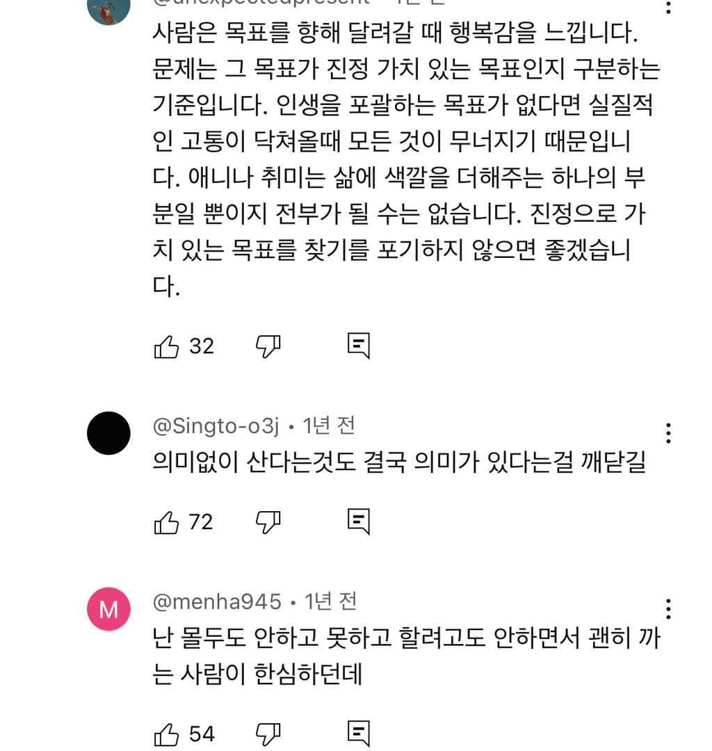 예전엔 아이돌이나 애니나 취미에 미친듯이 몰두하는 사람들 한심해보였는데 요즘은 좋아보임 | 인스티즈
