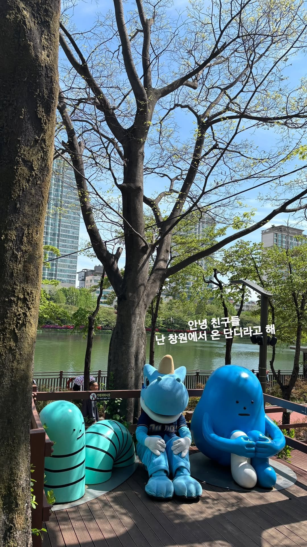 단디 이미지
