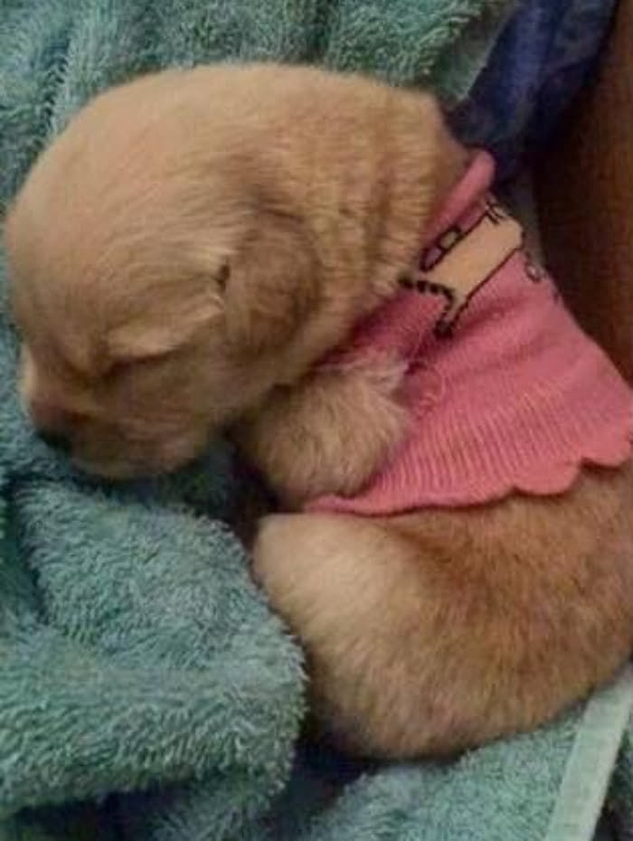 어렸을 때 입었던 옷 커서 입으려 해보니.... | 인스티즈