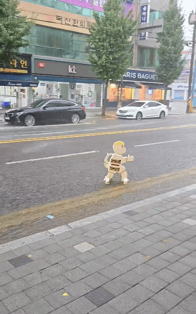폭우로 홍수났는데 옆에서 서핑하는 무개념.gif | 인스티즈
