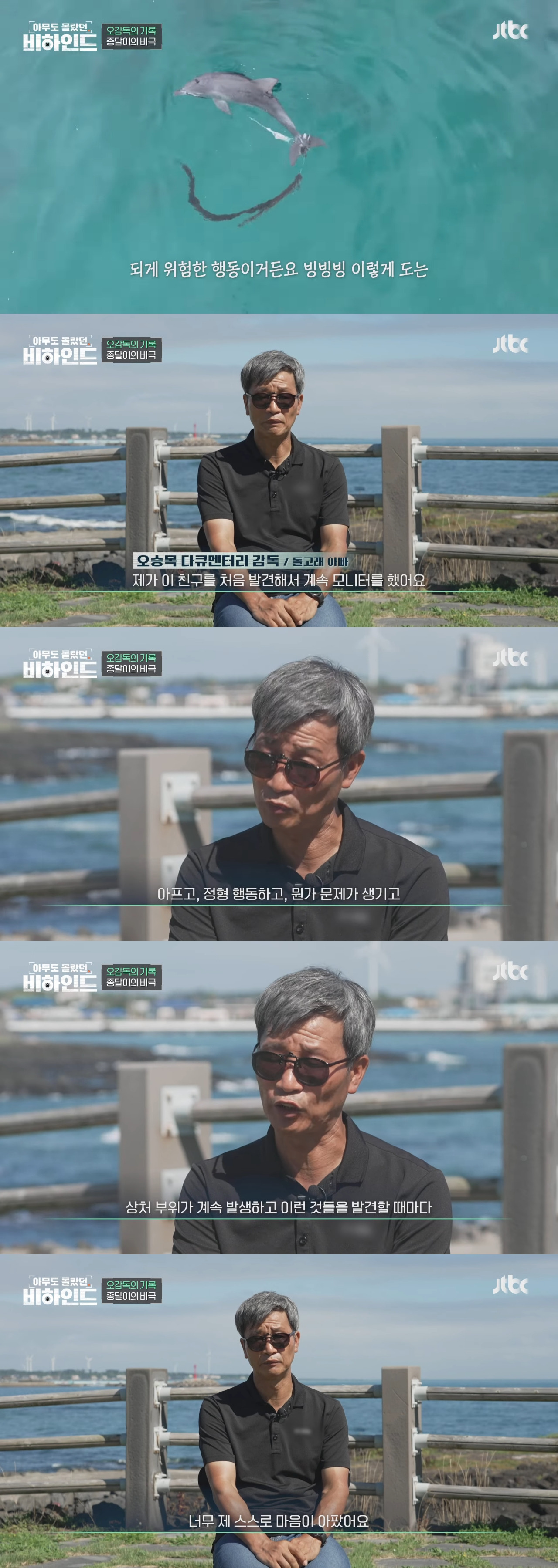 인간이 버린 쓰레기에 걸려 고통 받는 돌고래들을 따라다니는 돌고래 아빠 | 인스티즈